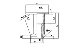 Hexagonal rivet nut, large flange p9_1_1.jpg